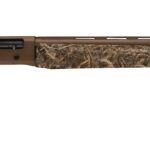 pointerftbronzerealtreemax535a3 POINTER FIELD 12/28 BRZ/MAX5