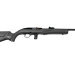 rossi6aae ROSSI RS22 22LR BLK/GRAY 18" 10+1 #