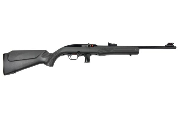 rossi6aae ROSSI RS22 22LR BLK/GRAY 18" 10+1 #