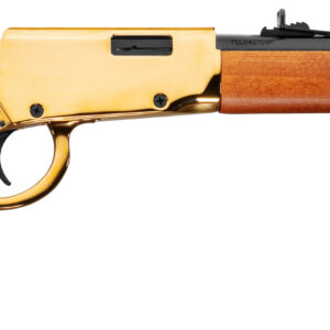 Rossi Rio Bravo .22 LR 18 inch lever-action rifle with gold receiver and hardwood stock