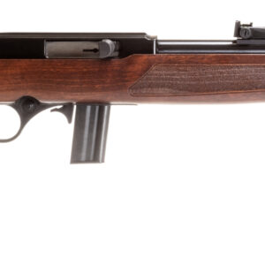 Rossi RS22 .22 LR rifle with 18-inch barrel and hardwood stock, matte black receiver