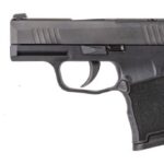 si365380bss5ccb SIG SAUER P365 380ACP BLK 10+1 NS