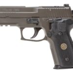 sie29r9legionr24e6e SIG SAUER P229 LEGION 9MM 15+1 DA/SA OR