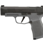 sig365xl9868166369leftd97b 1 SIG SAUER P365 XL 9MM NIT/GRAY 12+1 XRAY