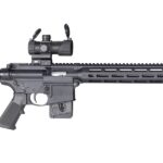 sm12723 SMITH AND WESSON M&P15-22 SPORT OR 22LR 10+1