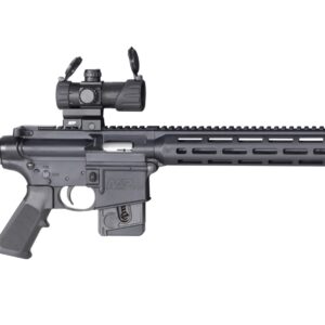 Smith & Wesson M&P15-22 22 LR 16.5 inch Sport OR with MP-100 red green dot