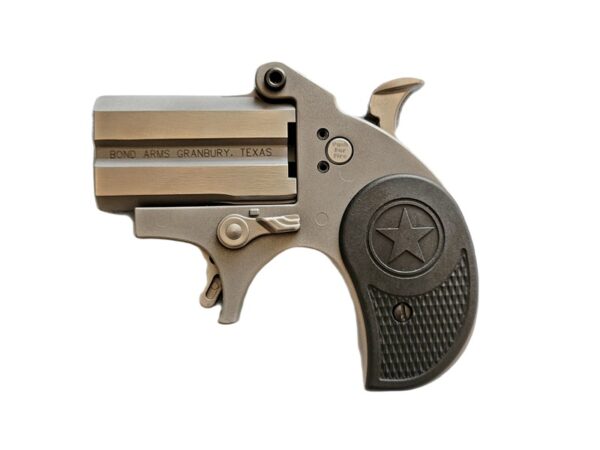 stubby4cc7 BOND ARMS STUBBY 22LR SS 2.2" FS