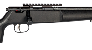 Savage Rascal Target .22 LR rifle with 16.12-inch threaded barrel and hardwood stock