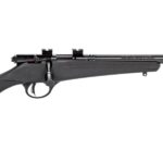 sv13834 SAVAGE ARMS RASCAL 22LR CPT HEAVY BBL BLK