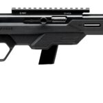 sv64p10848a SAVAGE ARMS 64 PRECISION 22LR BL/BK 10+1