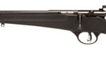 109787 Savage Arms 13843 Rascal 22 Short Caliber with 1rd Capacity, 16.12" Barrel, Matte Blued Metal Finish & Matte Black Synthetic Stock Left Hand (Youth)