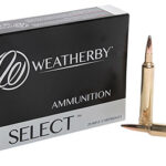 119451 Weatherby H240100IL Select 240 Wthby Mag 100 gr Hornady Interlock 20 Per Box/ 10 Case