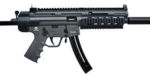GSG GSGGERGGSG1622S GSG-16 Carbine Full Size 22 LR 10+1 16.25" Black Smoke Polymer Receiver Black Collapsible w/Storage Compartment Stock Right Hand