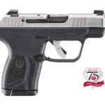 13775r414c RUGER LCP MAX 380ACP SS/POLYMER 10+1