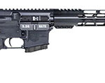 141162 Diamondback DB1790K001 DB15 *CA Compliant 5.56x45mm NATO 10+1 16", Black, Adjustable Magpul MOE Carbine Stock, MOE Grip, 12" M-LOK, Fixed Magazine Lock & Release