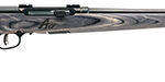 141631 Savage Arms 47801 A17 Sporter Semi-Auto 17 WSM Caliber with 8+1 Capacity, 22" Barrel, Satin Black Metal Finish & Fixed Gray Laminate Stock Right Hand (Full Size)