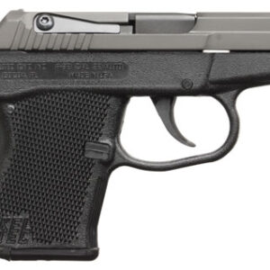 Kel-Tec P32 .32 ACP pistol with blued slide and black polymer grip, fixed sights