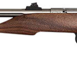 167615 Chipmunk 40101 Hunter Youth Frame 22 S/L/LR Single Shot 9" Threaded Stainless Steel Barrel, Walnut Frame, EZ Loader