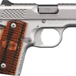 3300109a981 KIMBER MICRO 9MM 3.15" SS RAPTOR