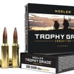 59579 Nosler 60062 Trophy Grade 300 Rem SAUM 180 gr Nosler Spitzer Partition 20 Per Box/ 10 Case