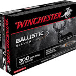 67669 Winchester Ammo SBST300 Ballistic Silvertip 300 Win Mag 180 gr Rapid Controlled Expansion Polymer Tip 20 Per Box/ 10 Case