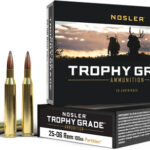 AN60005 NOSLER TROPHY 25-06 REM 100GR