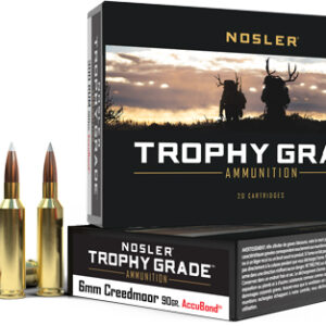 NOSLER TROPHY GRADE 6MM CM 90G