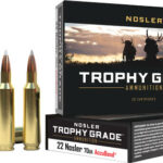 AN60918 1 NOSLER TROPHY GRADE 22 NOSLER