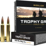 AN61056 NOSLER TROPHY GRADE 300WM 180G