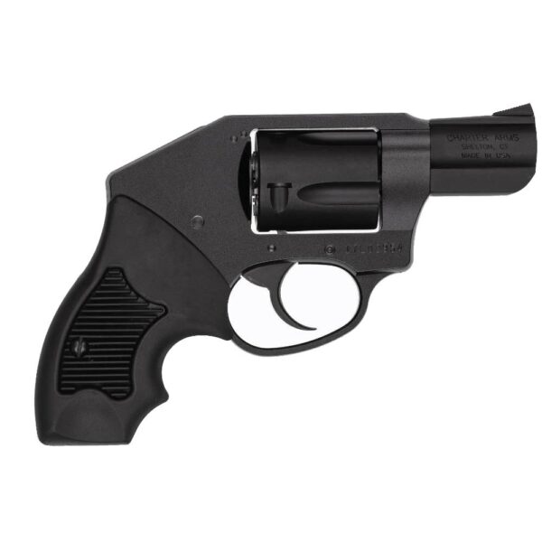 AR53221 Charter Arms Undercoverette Off Duty Handgun .32 H&R Mag 6rd Capacity 2" Barrel Concealed Hammer Black