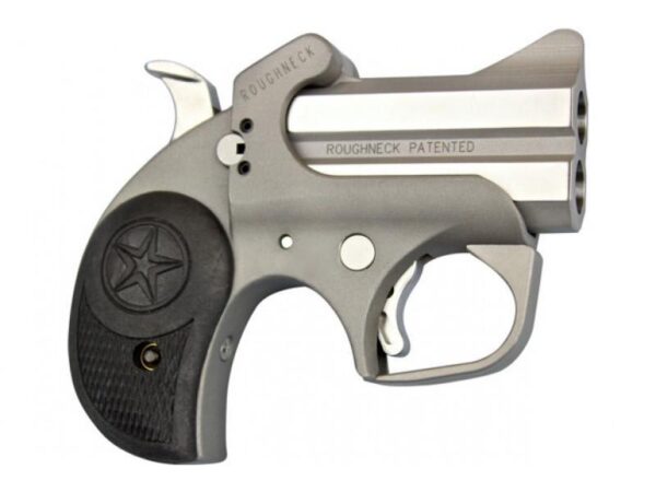 BEBARN9MM Bond Arms Roughneck Derringer .380 ACP 2rd Capacity 2.5" Barrel