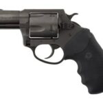 CH64020 CHARTER ARMS CHARTER PITBULL 40SW NIT 2" FS