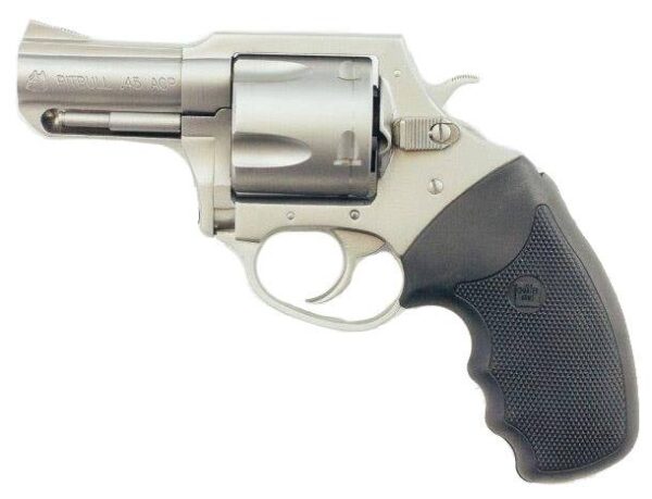 CH74520 CHARTER ARMS CHARTER PITBULL 45ACP SS 2.5"