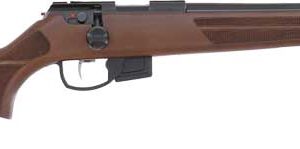 Anschutz 1761 HB .17 HMR bolt-action rifle with 18-inch blued threaded barrel and walnut stock