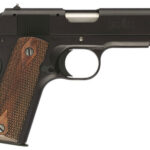 G051803490 BROWNING 1911-22 .22LR COMPACT