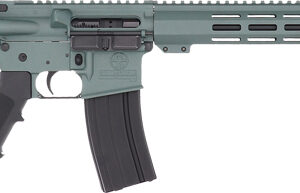 Great Lakes GL-15 RIA .223 Wylde 16-inch AR-style rifle in charcoal green Cerakote