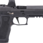 G320XF9BXR3RXX SIG P320 XFULL 9MM 4.7" XRAY-3