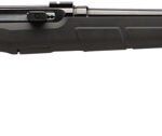 G47700 SAVAGE A17 17HM2 SPORTER 20"