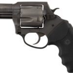 G64520 CHARTER ARMS PIT BULL .45ACP