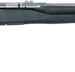 G70802Z SAVAGE B17FVSS .17HMR 21" S/S