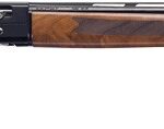 G75789 1 MOSSBERG SA-20 20GA 3" 26"VR