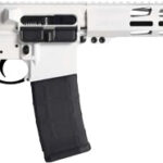 G8550 RUGER AR556 MPR .223 30-SHOT