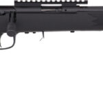 G96699Z SAVAGE 93R17-FV-SR .17HMR