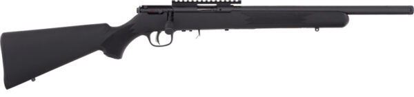 G96699Z SAVAGE 93R17-FV-SR .17HMR