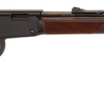 GH001V HENRY VARMINT EXPRESS .17HMR