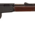 GH001VL HENRY VARMINT EXPRESS .17HMR