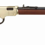 GH004V HENRY GOLDENBOY .17HMR