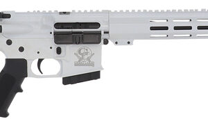 Great Lakes GL-15 RIA .350 Legend 16-inch AR-style rifle