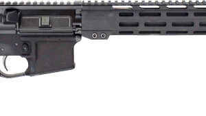 Del-Ton Echo 316H .223 REM/5.56 NATO 16-inch barrel matte black finish