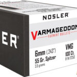 N17250 1 NOSLER BULLETS 6MM .243